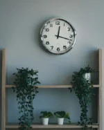 Halo minimal wall clock above a wooden shelf of trailing plants against a grey-blue wall