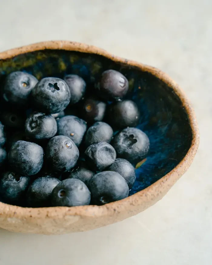 Terra reactive glaze stoneware bowl in deep blue, filled with fresh blueberries